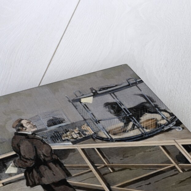 Pasteur, Louis (1822-1895) by Anonymous