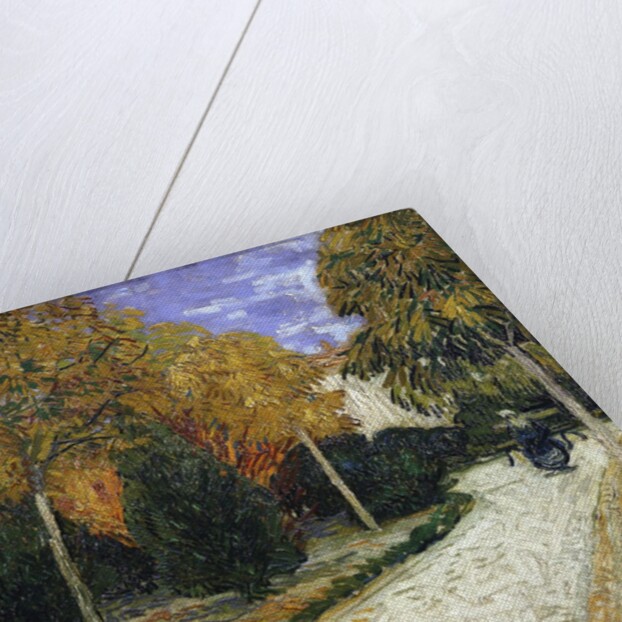 The Public Garden by Vincent Van Gogh