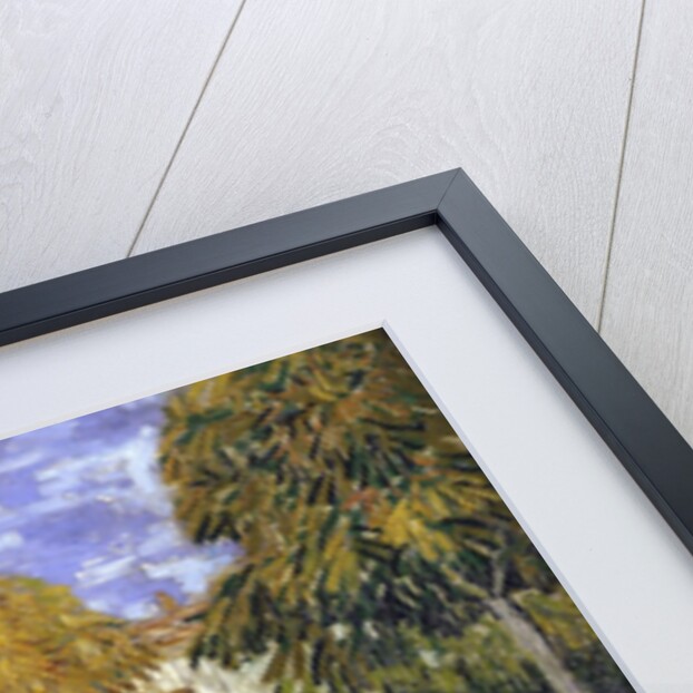 The Public Garden by Vincent Van Gogh