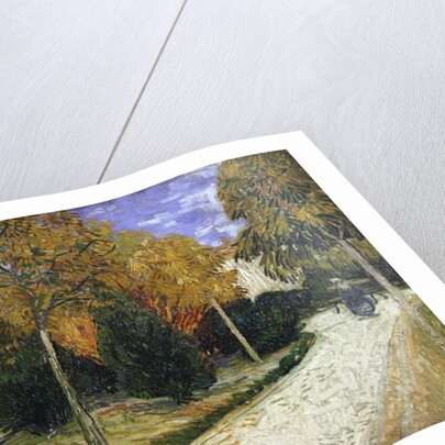 The Public Garden by Vincent Van Gogh