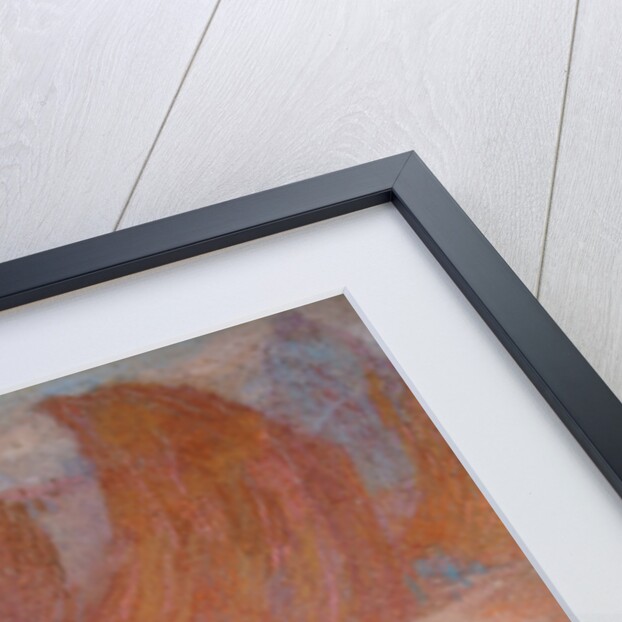 The Pink Dress by Edmond Francois Aman-Jean