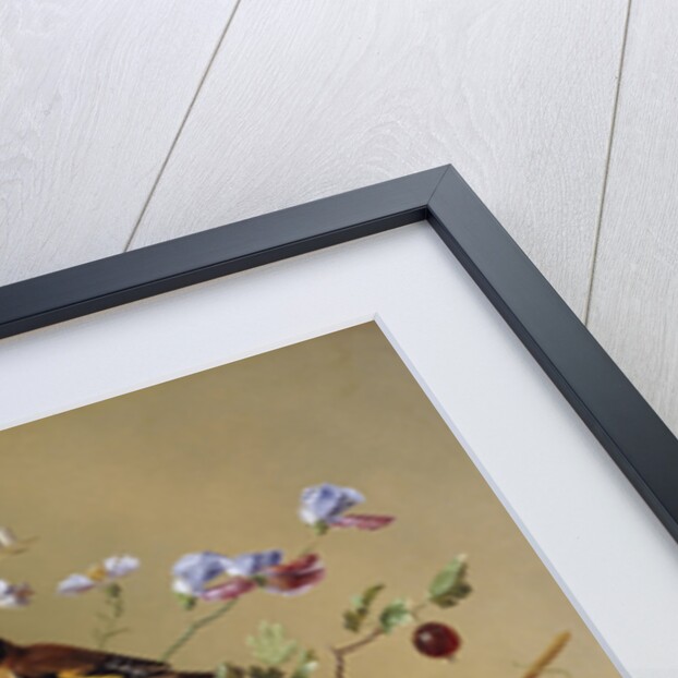 Peaches, Grapes, Plums and Flowers in a Glass vase with a Jay on a Ledge by Arnoldus Bloemers