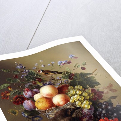 Peaches, Grapes, Plums and Flowers in a Glass vase with a Jay on a Ledge by Arnoldus Bloemers