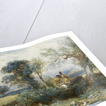 By the Duck Pond by Myles Birket Foster