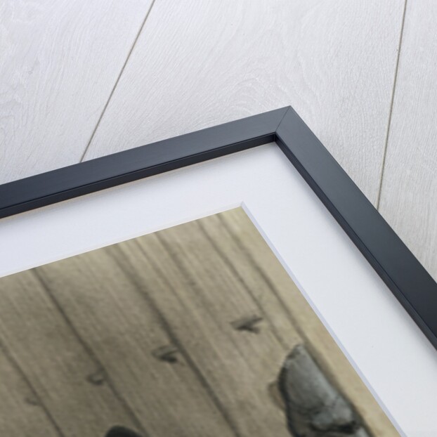 Visitors to Paris - A Fright in the Jardin des Plantes by Honore Daumier