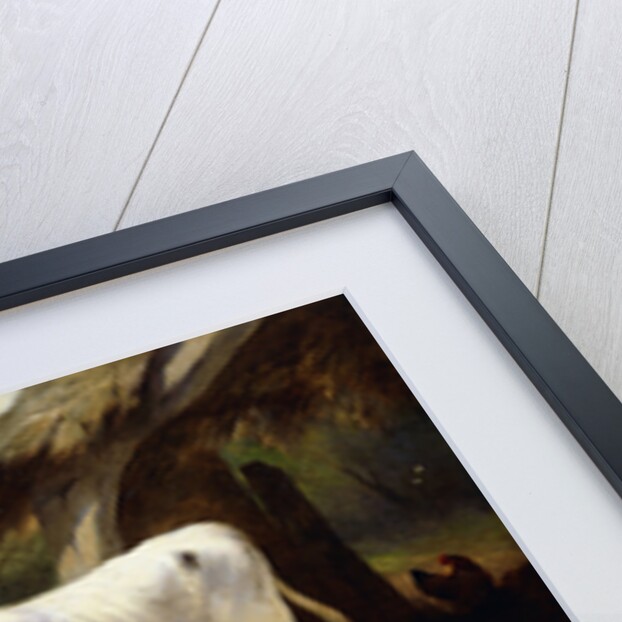 Farmyard Friends by Walter Hunt