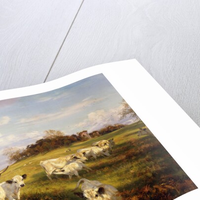 Wild Cattle of Chartley, Chartley Castle Beyond by Henry William Banks Davis