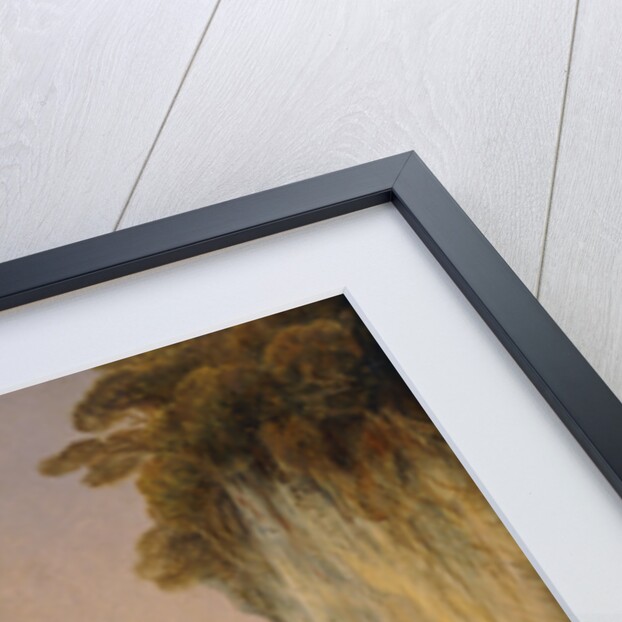 The Marble Rocks - Nerbudda Jubbulpore by Edward Lear