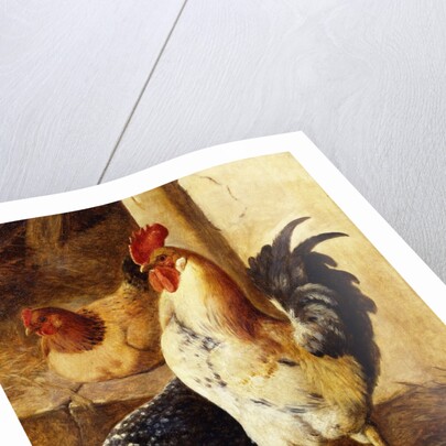 A Cockerel and Chickens in a Farmyard by Federico Jimenez Fernandez