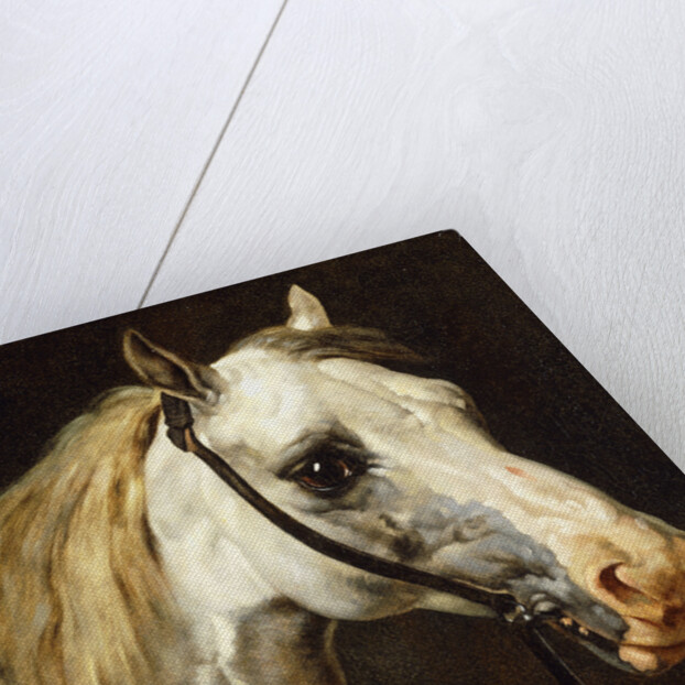 Head of a Piebald Horse attributed to Theodore Jean Louis Gericault by Anonymous