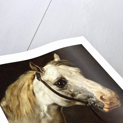 Head of a Piebald Horse attributed to Theodore Jean Louis Gericault by Anonymous