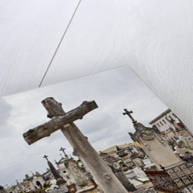 Lapa cemetery in Aveiro by Anonymous
