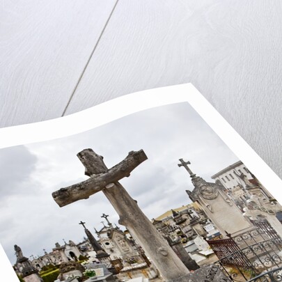 Lapa cemetery in Aveiro by Anonymous