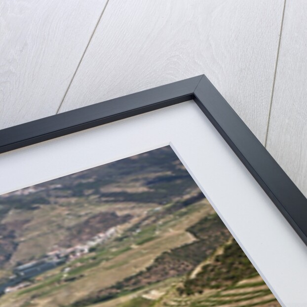 The vineyards of the Douro Valley above Pinhao are set on terraced hillsides above the Douro River by Anonymous