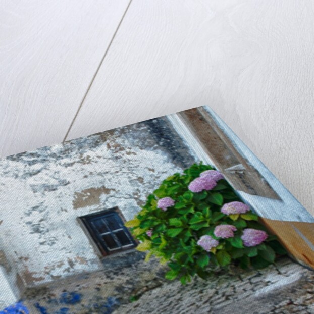 Street along Obidos, one of the most picturesque medieval villages in Portugal by Anonymous