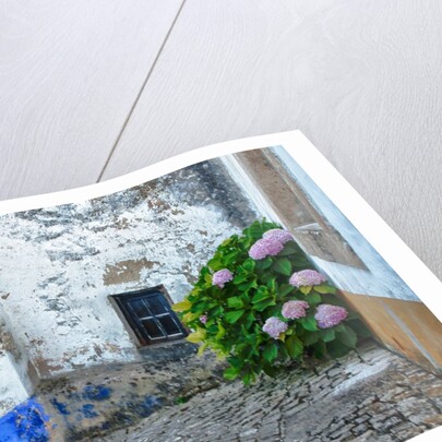 Street along Obidos, one of the most picturesque medieval villages in Portugal by Anonymous
