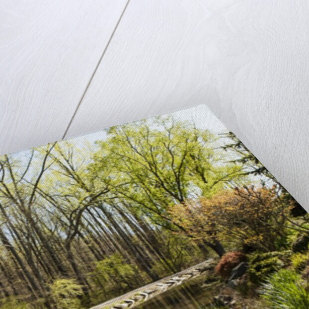 Shades of green mark Spring by Anonymous