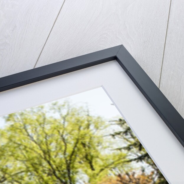 Shades of green mark Spring by Anonymous