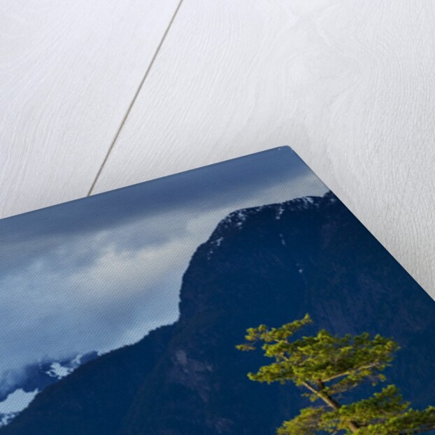 Desolation Sound, BC, Canada by Anonymous