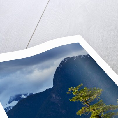 Desolation Sound, BC, Canada by Anonymous