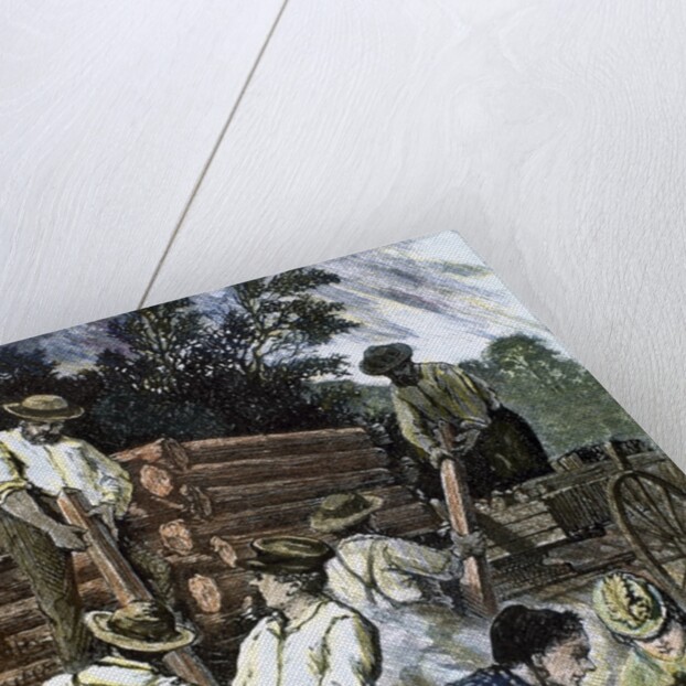 USA. Settlers building their homes in the West (1874) by Anonymous