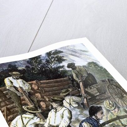 USA. Settlers building their homes in the West (1874) by Anonymous