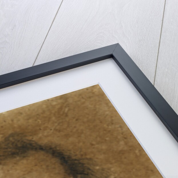 A Self-Portrait by Gian Lorenzo Bernini