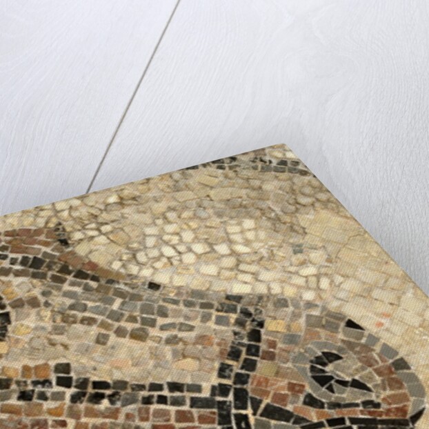 Horse Roman Floor Mosaic by Anonymous