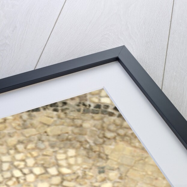 Horse Roman Floor Mosaic by Anonymous