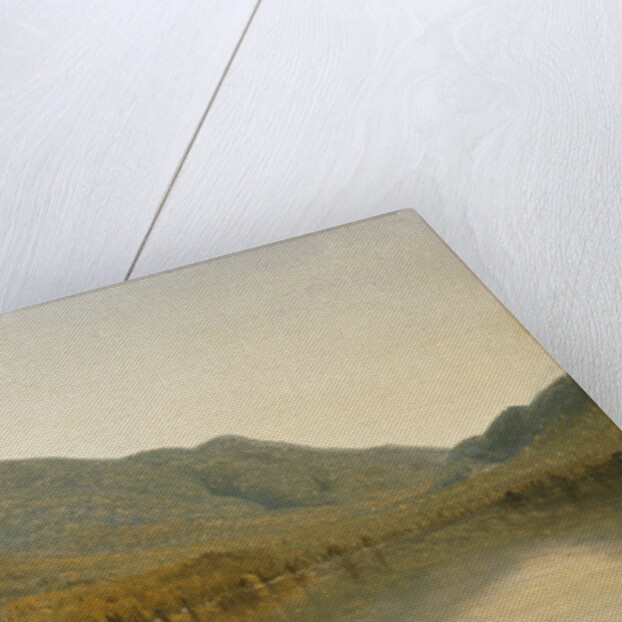 Mount Whiteface from Lake Placid, in the Adirondacks by Sanford Robinson Gifford