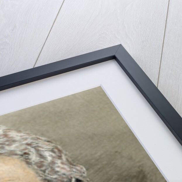 Siemens, Werner von (1816-1892) by Anonymous