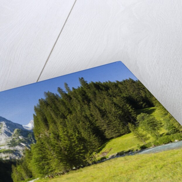 Rosenlaui Valley by Anonymous
