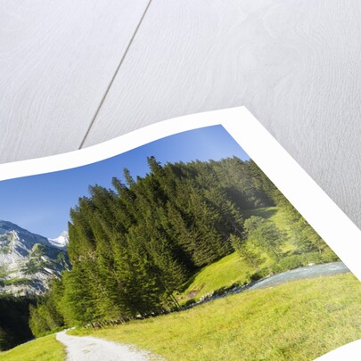 Rosenlaui Valley by Anonymous