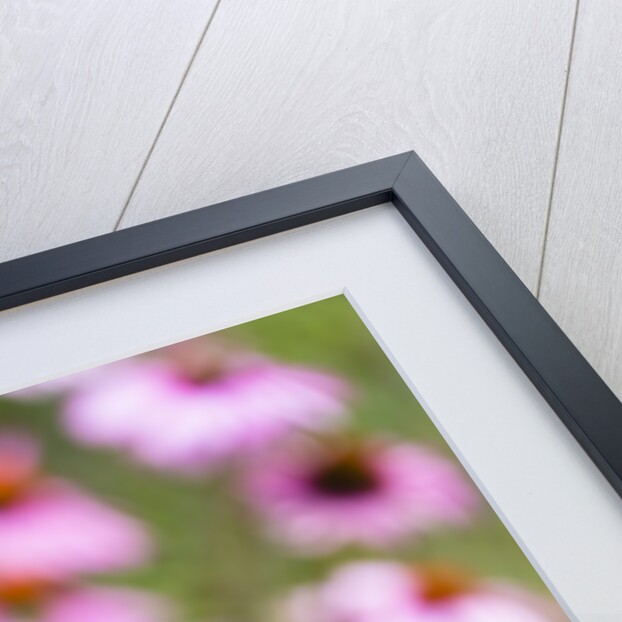 Flowering garden by Anonymous