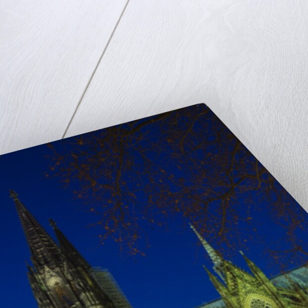 Cologne cathedral (Dom) at christmas by Anonymous