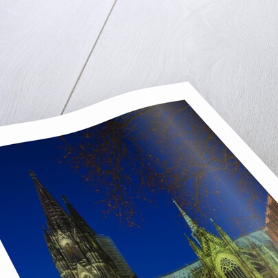 Cologne cathedral (Dom) at christmas by Anonymous