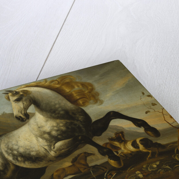 A Grey Prancing Stallion with Flowing Mane with Stallions Fighting in a Rocky Landscape by Anonymous