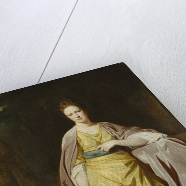 Portrait of Mrs. Ellen Morewood, standing full length, in a Yellow Dress by George Romney