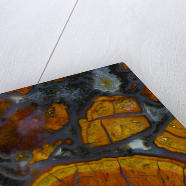 Wingate Pass Agate, Ca by Anonymous