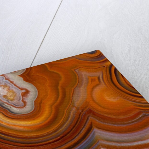 Fortifications Crazy Lace Agate by Anonymous