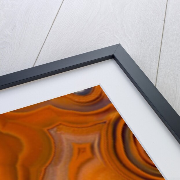 Fortifications Crazy Lace Agate by Anonymous