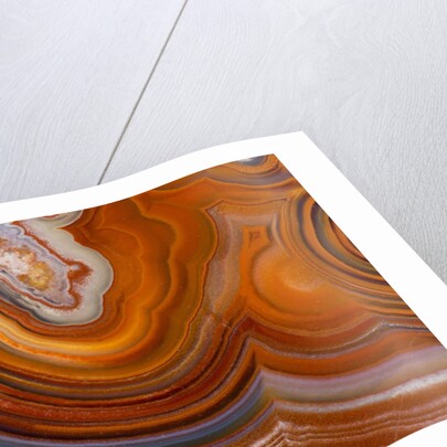 Fortifications Crazy Lace Agate by Anonymous