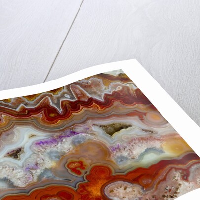 Zig Zag Pattern Crazy Lace Agate by Anonymous