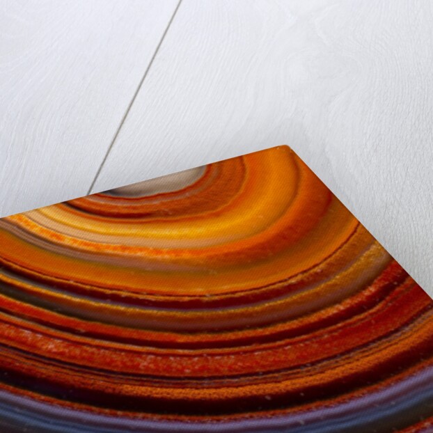 Close ups of Fortification on Crazy Lace Agate by Anonymous