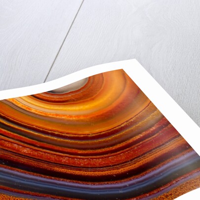 Close ups of Fortification on Crazy Lace Agate by Anonymous