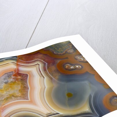 Condor Agate with fortifcations by Anonymous