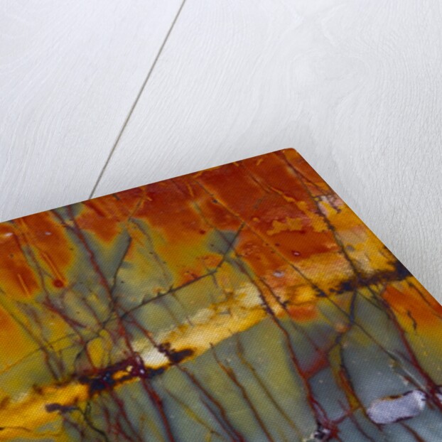 Cherry Creek Jasper by Anonymous