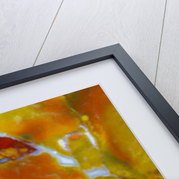 Marston Jasper by Anonymous