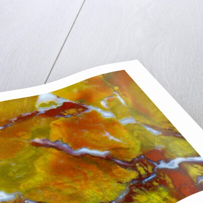 Marston Jasper by Anonymous