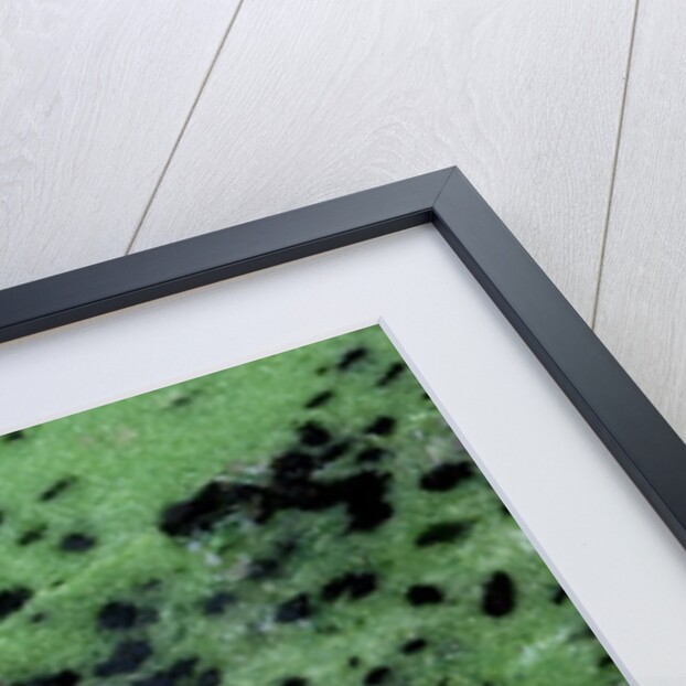 Zasite Stone with rudby & green by Anonymous